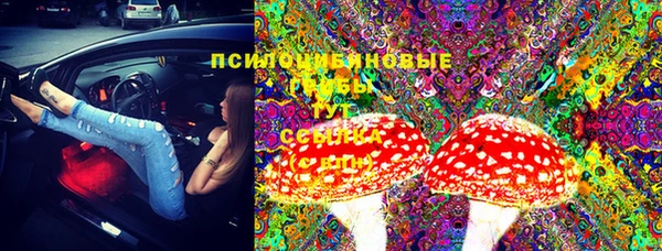 МДМА Новодвинск