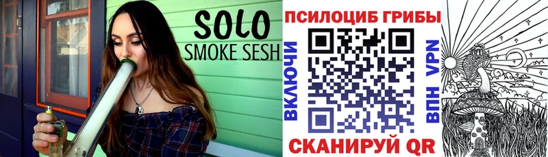 Купить  Олёкминск  Галлюциногенные грибы MAGIC MUSHROOMS 